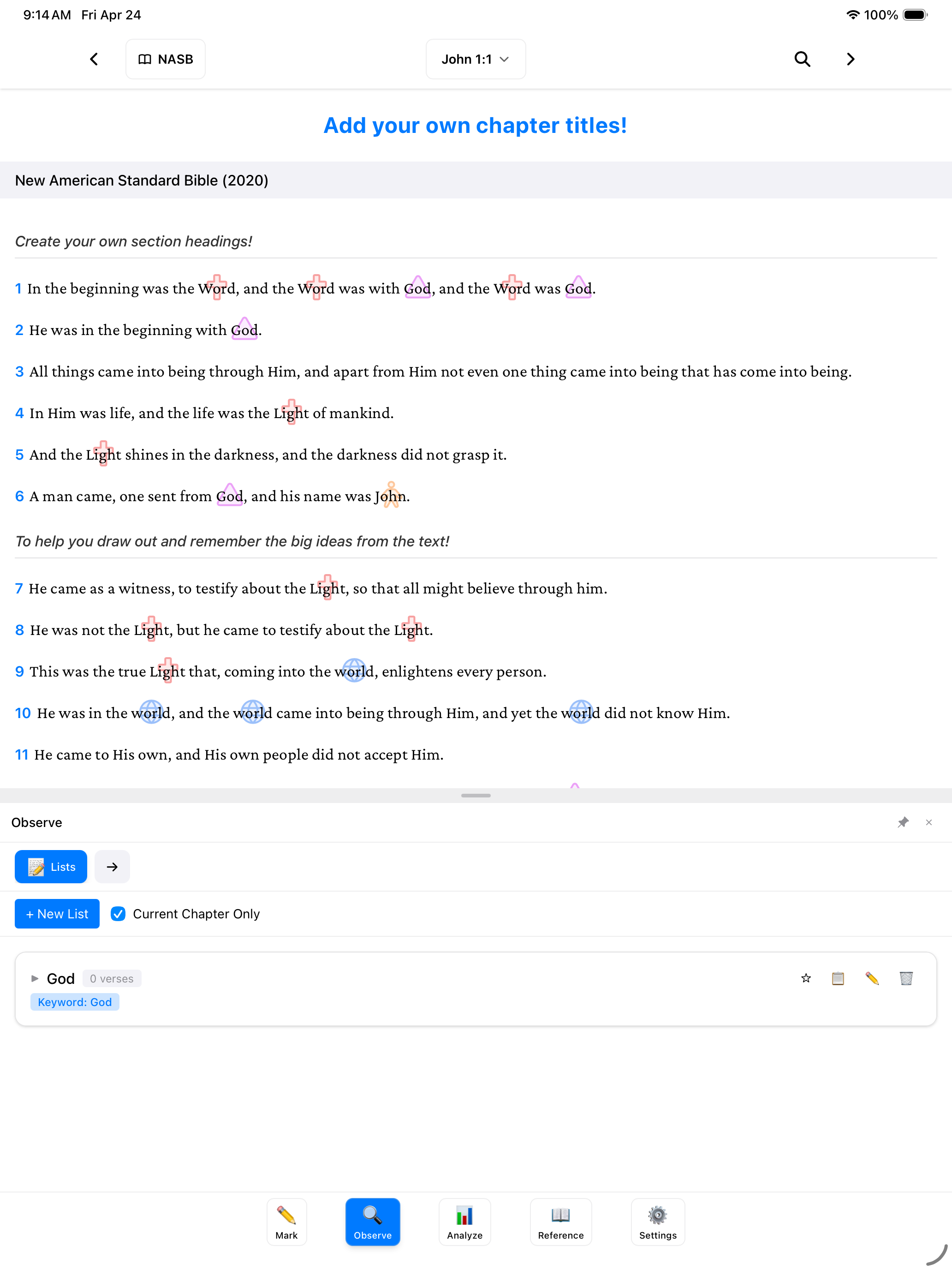 BibleMarker 2.0 Observe panel for recording study connections